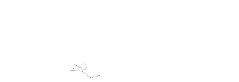Logo Marianne Kaindl - See-Marketing